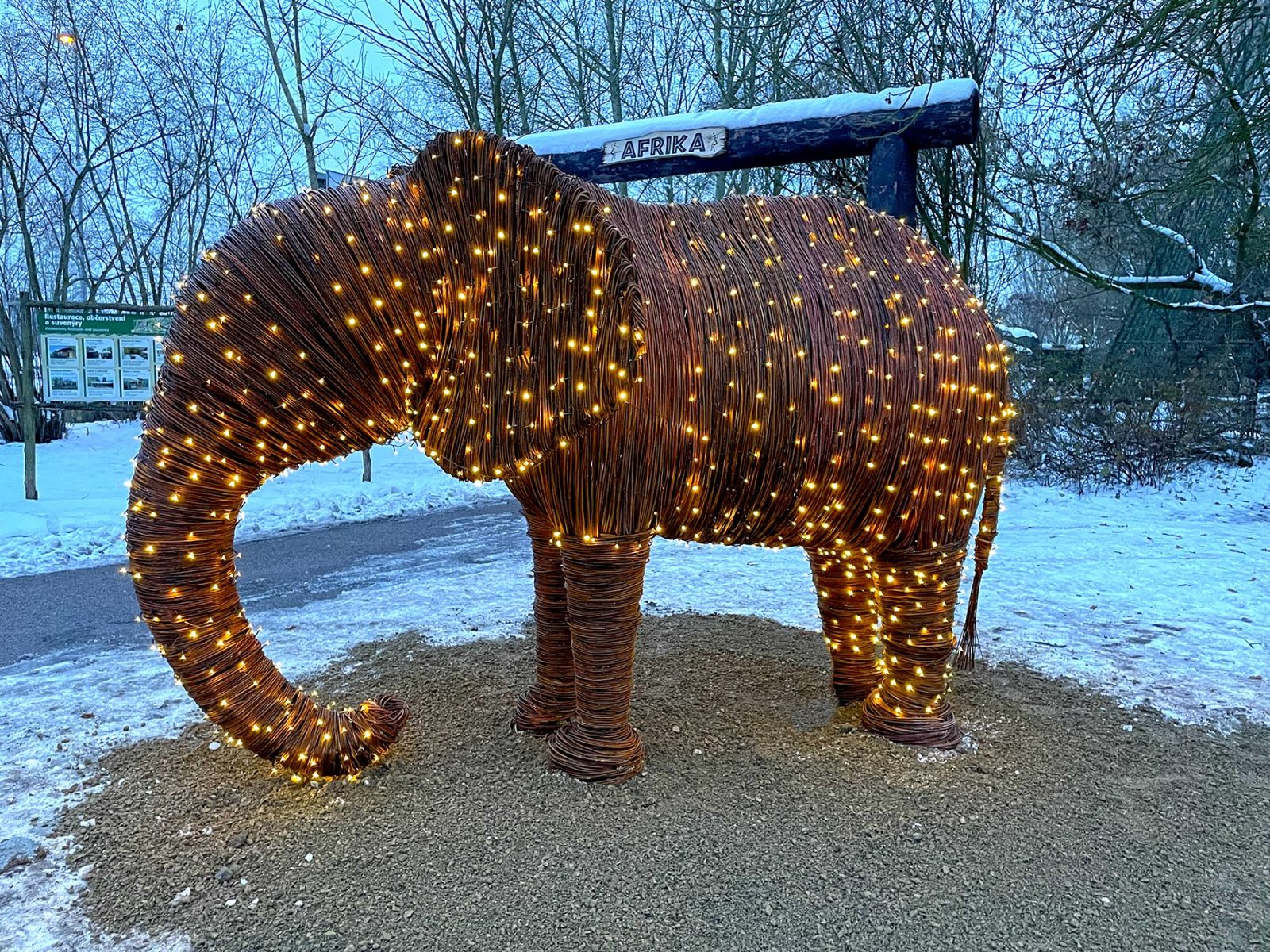 Plzeňská zoo láká na Vánoce na snížené vstupné a svítícího slona