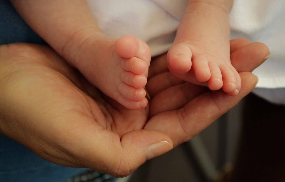 Sobotní plzeňský kongres porodních asistentek přinese zajímavá témata