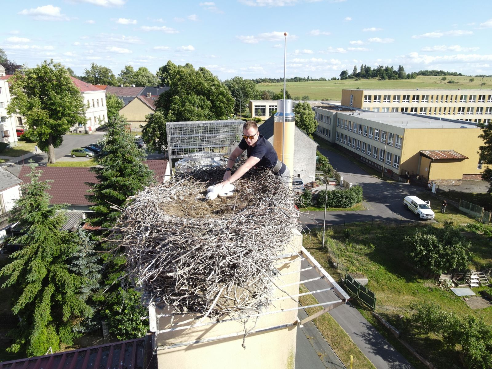 Téměř šest stovek čapích hnízd v Česku je s mláďaty. Zapojte se v kraji do sledování