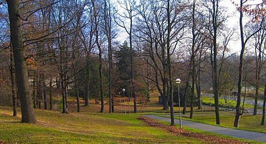 Parky v Plzni dlouhodobě vysychají