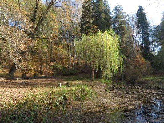 Lobezský park by se mohl dočkat obnovy 
