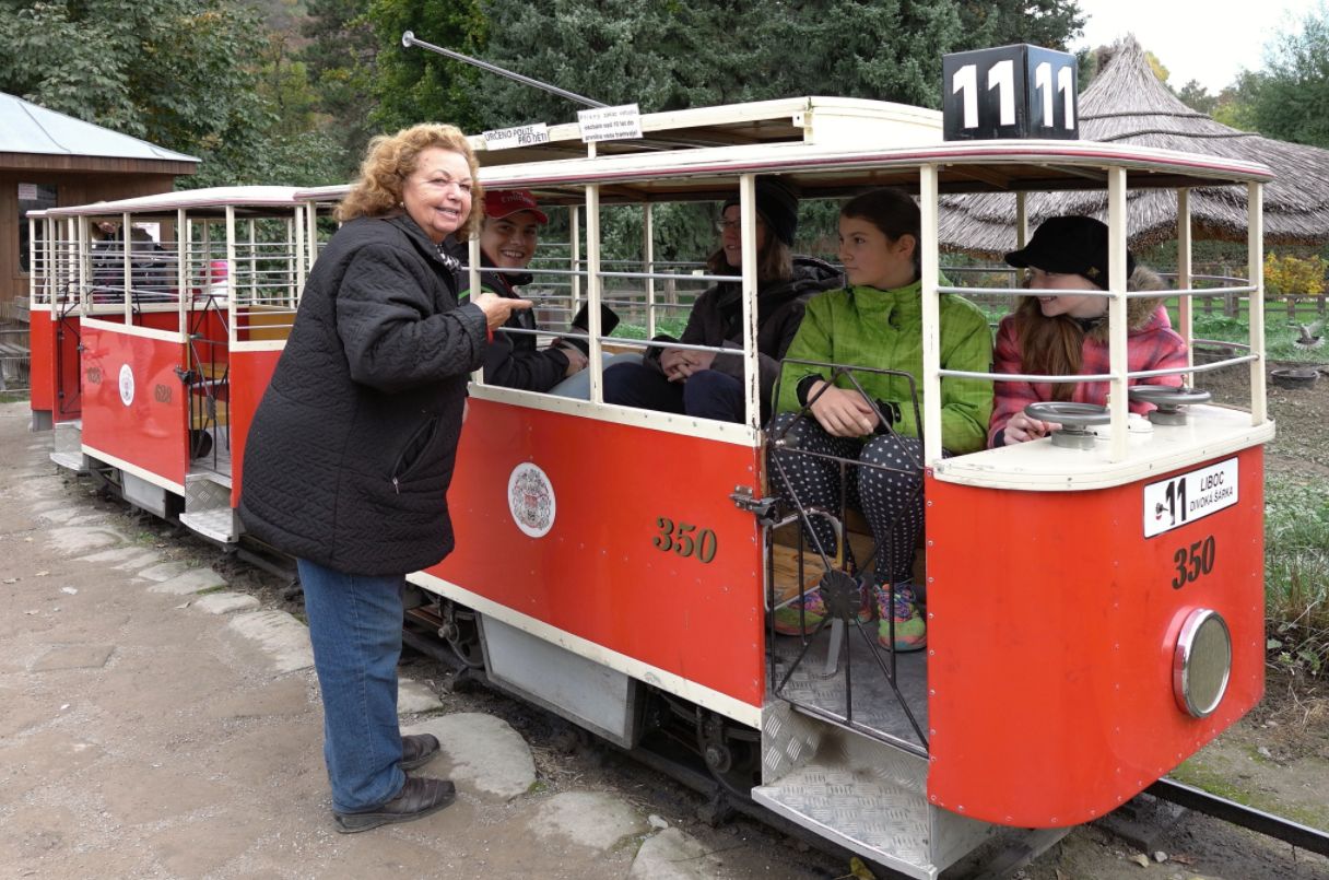 Na trať v Zoo Praha opět vyjede legendární dětská tramvaj
