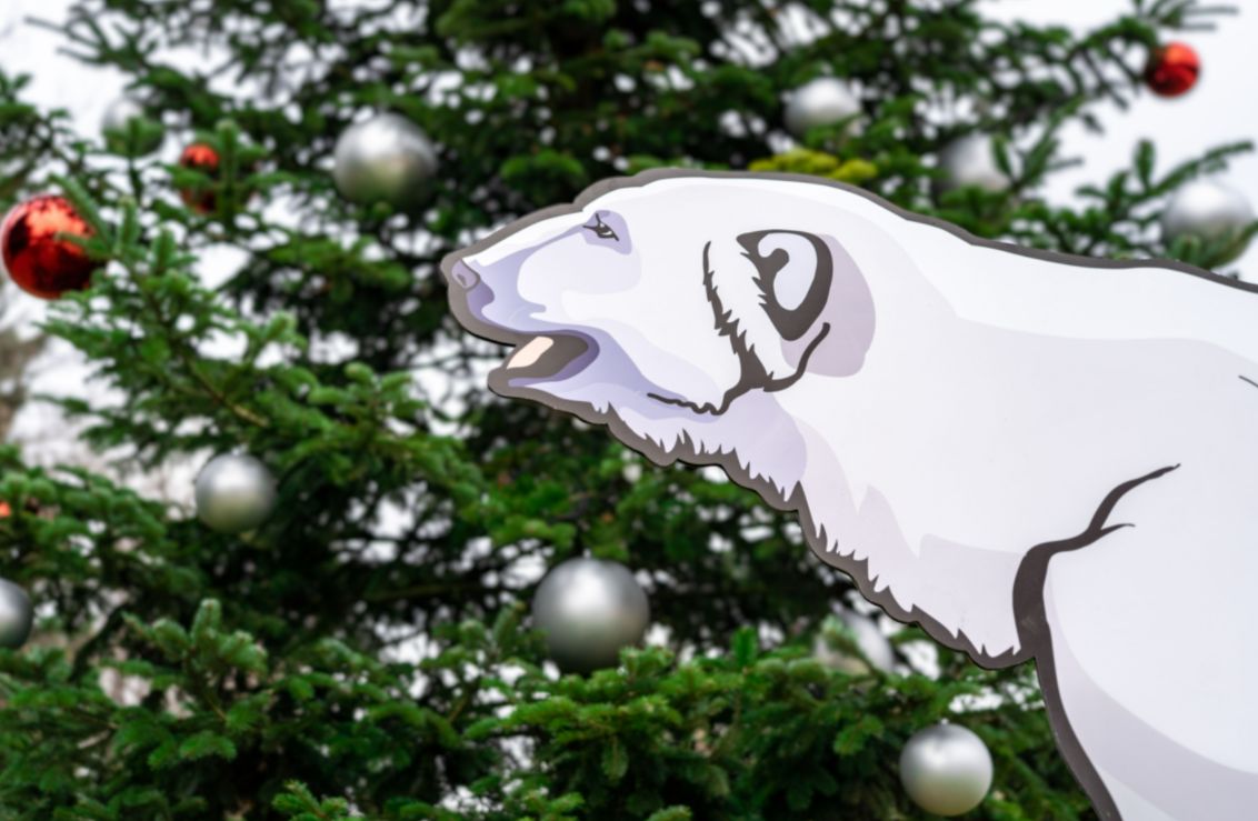 Zoo Praha v neděli rozsvítí vánoční strom a představí plánovanou expozici Arktidy