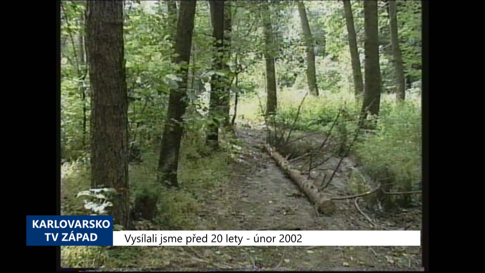 2002 – Sokolov: Město chce směnit lesy za pozemky v Jižním lomu (TV Západ)