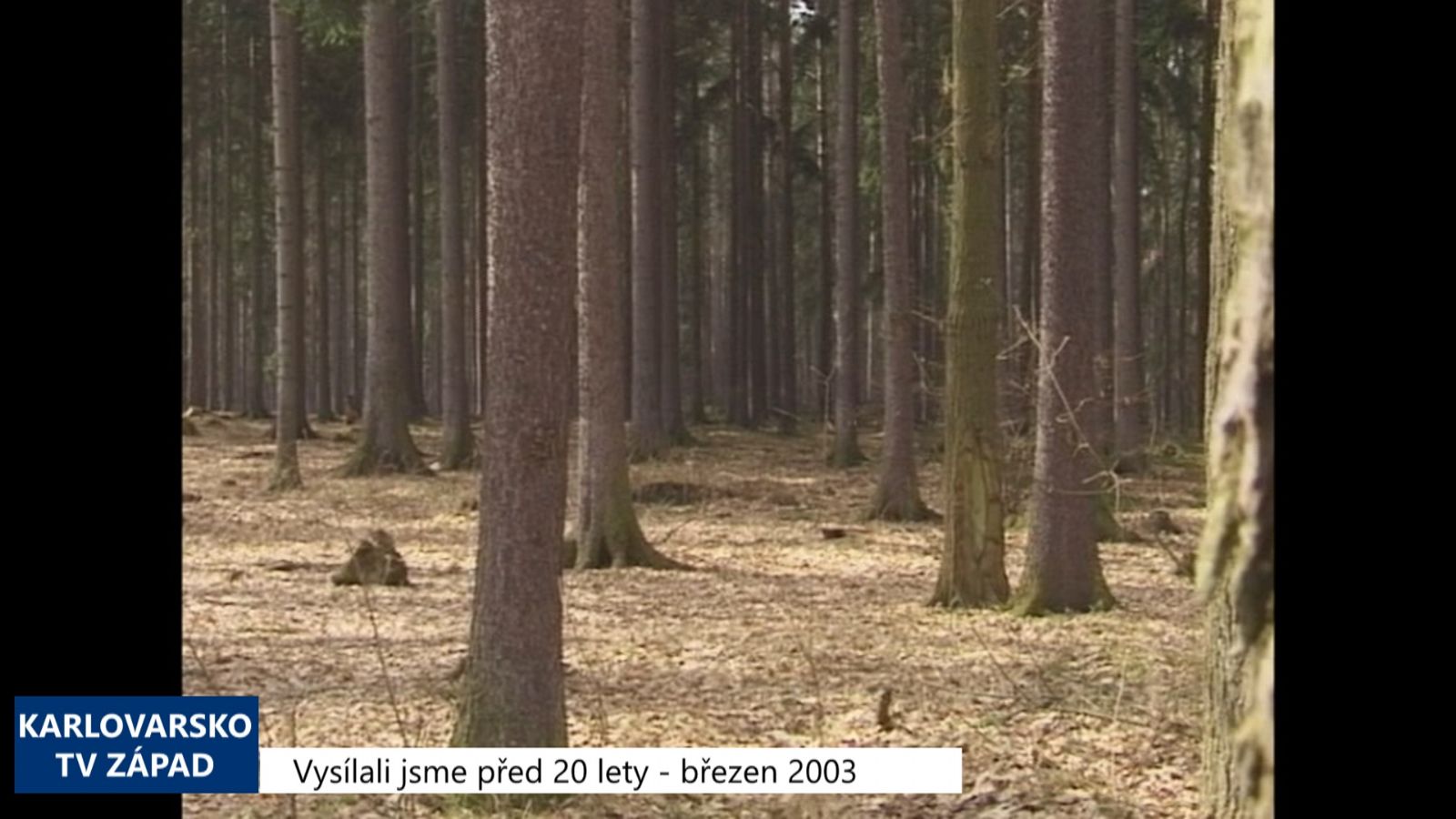 2003 – Sokolov: Město odmítá žádost Lesů ČR a myslivců (TV Západ)