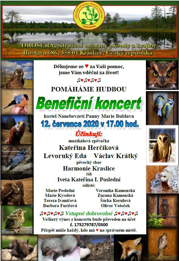 Bublava: Benefiční koncert pro Droseru