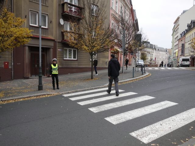 Policisté v Plzni pokutovali chodce