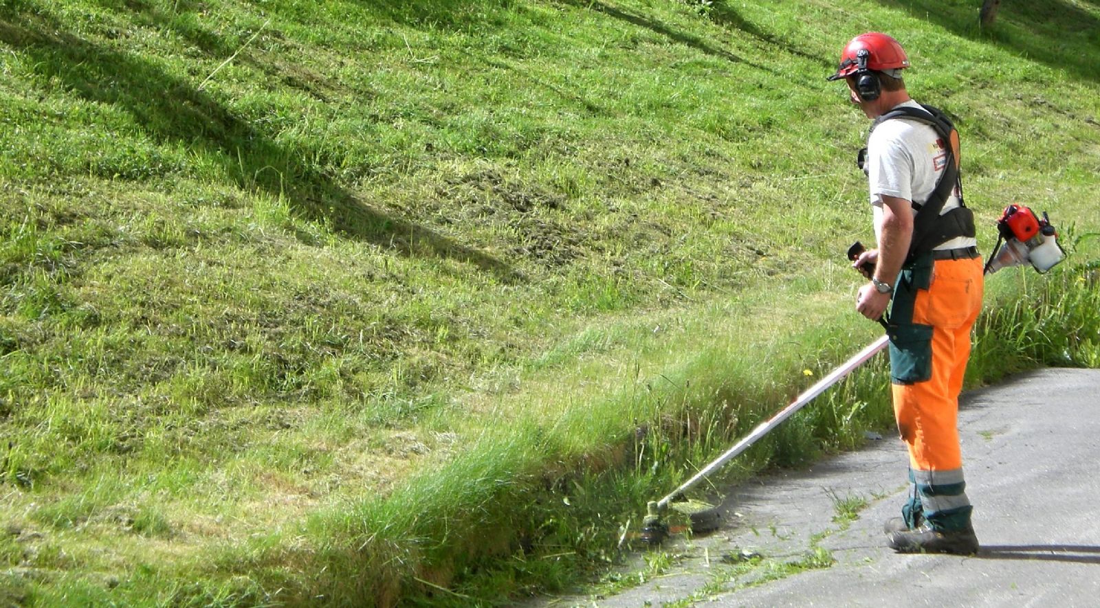 Karlovy Vary: Městské trávníky dostanou pestřejší údržbu