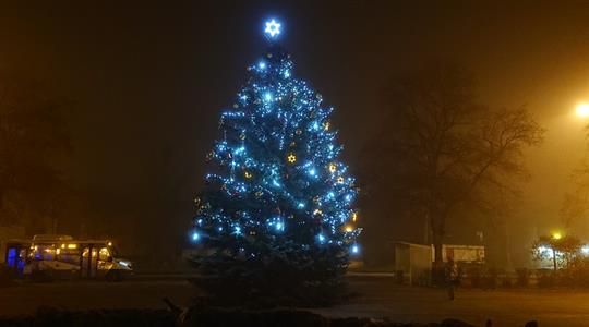 Ostrov: Město zítra rozsvítí vánoční strom