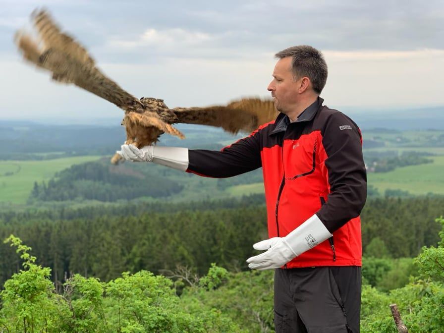 Příběh jednoho výra se šťastným koncem