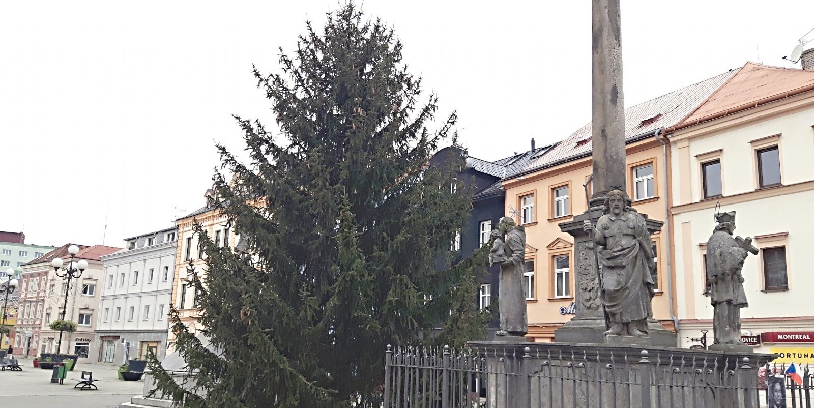 Sokolov: Vánoční stromy jsou letos z městských zdrojů