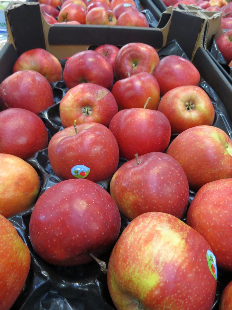 Sadaři v Plzeňském kraji očekávají slušnou úrodu jablek