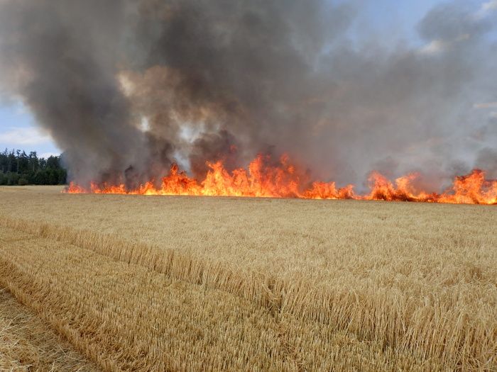 V posledních dnech výrazně přibývá požárů na polích