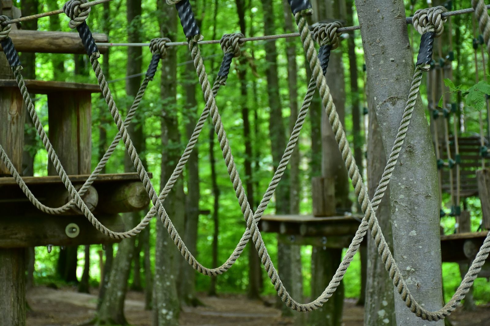 Budějovičáci budou mít už v květnu lanový park