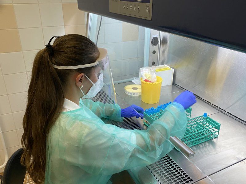 Mikrobiologické laboratoře FN Brno dokážou odhalit jihoafrickou mutaci