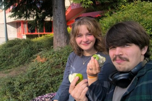 ZČU v Plzni rozšiřuje ombudstýmy na FEL a Sutnarce a zavádí schránky důvěry pro studenty