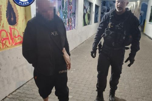 Sprej v ruce a 2,07 promile. Strážníci v Plzni zadrželi dvojici u čerstvých nápisů