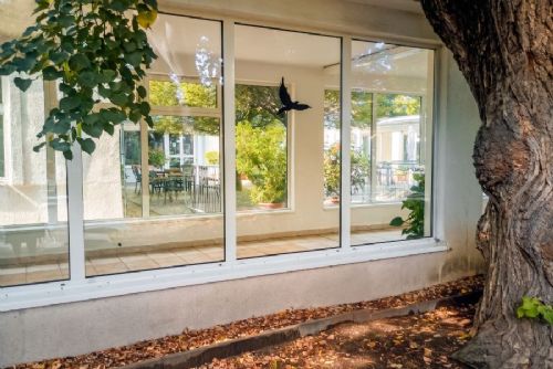Na Vysočině hledají skla nebezpečná pro ptáky. Pomoci může i veřejnost
