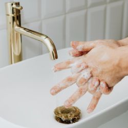 Žloutenka A dál sužuje jižní Moravu. Od začátku roku je 502 případů, tři lidé zemřeli