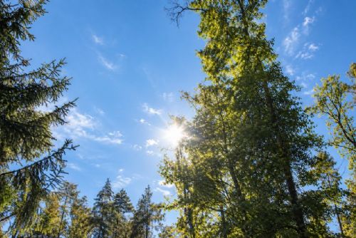 Babí léto na jižní Moravě do středy. Ve čtvrtek dorazí fronta, v pátek ochlazení na 15 °C
