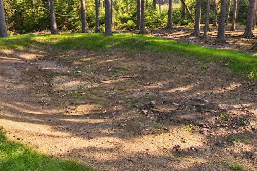 Sucho drtí lesy na Rokycansku. Vyschly tůně, hynou sazenice a rychleji se šíří kůrovec