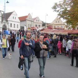 Med, dobroty i kuchařská show. Koterovská náves zve na 12. ročník Medového jarmarku