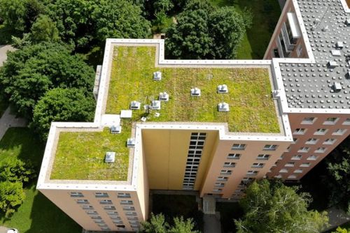 Plzeň podpoří zelené střechy až milionem korun. Zájemcům poradí odborný seminář