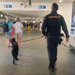 Plzeňské hlavní nádraží je pod větším dohledem. Policie tu letos zkontrolovala tisíce lidí