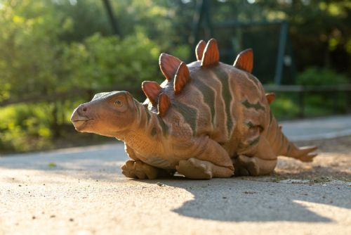 První chodící robotický stegosaurus v ČR od 22.5. v plzeňském DinoParku