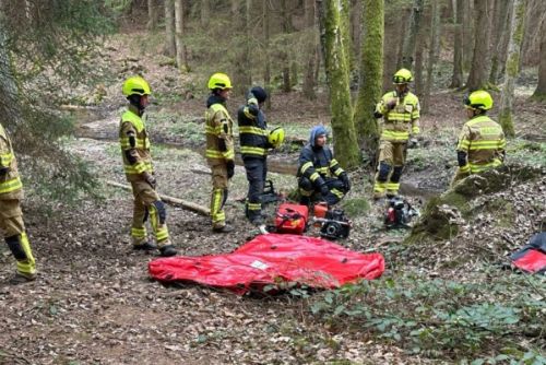 Hasiči z Říčan trénovali hašení lesních požárů v Černých Voděradech