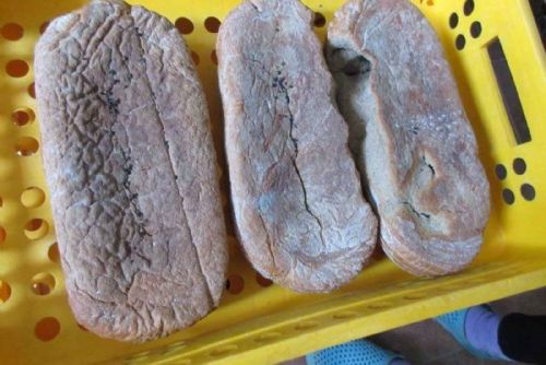 Myši a trus ve skladu. Inspektoři v Nepomuku uzavřeli zázemí prodejny Růže