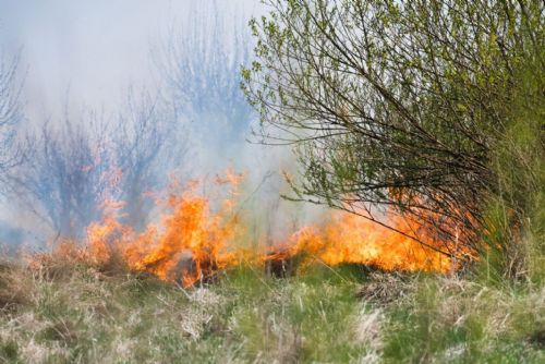 Národní park Šumava žádá o maximální opatrnost. Kvůli suchu hrozí požáry