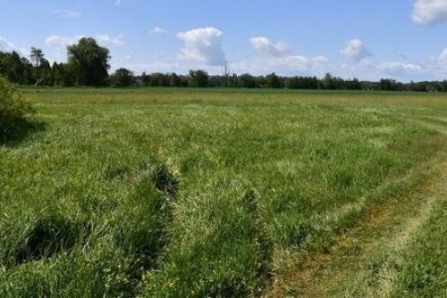 Nová cyklostezka v Plzni - gondolový most a trasa bez kopců