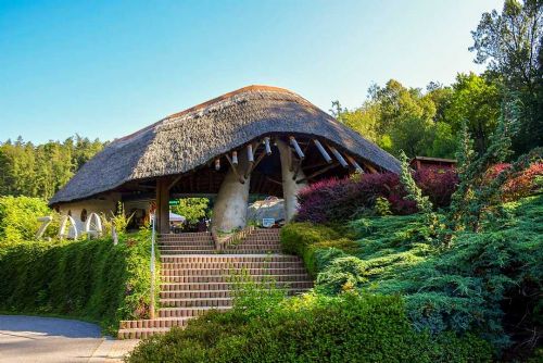 Nové ohrožené hroší mládě v jihlavské zoo se poprvé potápí a baví návštěvníky