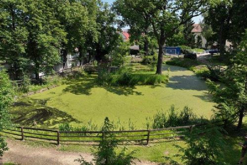 Nové Syrovice obnovují zámecké tůně. Projekt zlepší vodu i podmínky pro obojživelníky