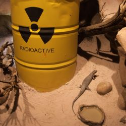 Obce u Horažďovic vzdorují radioaktivnímu průzkumu