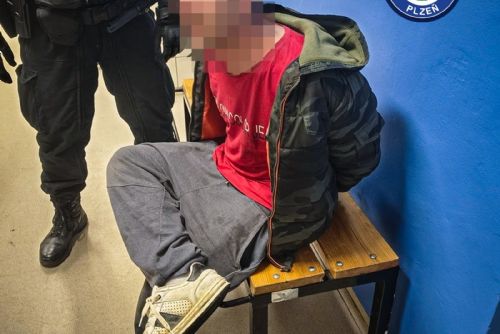 Opilec s 2,55 promile řádil v McDonaldu. Policie ho vyvedla