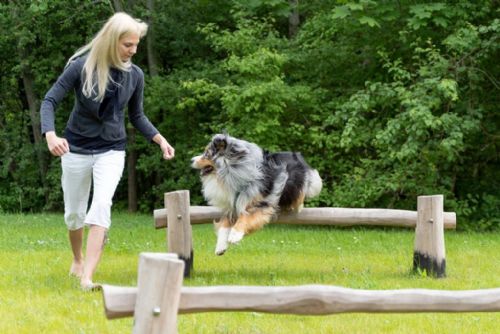 Park, hřiště nebo psí loučku? Plzeňáci hlasující o veřejném prostoru