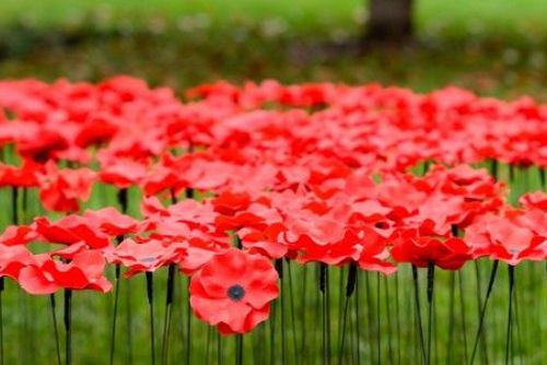 Plzeň uctila veterány pietou ve vlčím poli