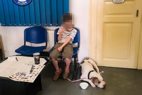 Sám se psem vyrazil za maminkou. Ztracenému chlapci pomohly všímavé ženy