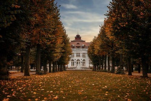 Sokolovské aleje bodují, vyhrály krajské kolo ankety Alej roku 