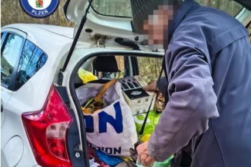 U Ostende přistihli důchodce při vyhazování odpadu do lesa. Hájil se hnojením stromů