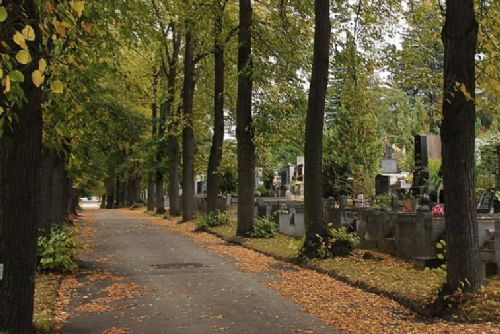 Znásilnění na Sušicku. Žalobce žádá 7 let, obžalovaný vše popírá