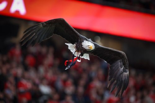 Benfica míří do Plzně! Viktoria spouští prodej balíčků na čtyři evropské bitvy