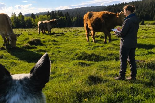 Malé farmy v Plzeňském kraji čeká statistické šetření. Výzvy dorazí už brzy