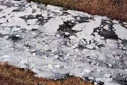 Enaspol podezřelý ze zpěnění Bíliny