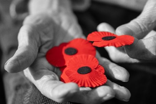 Evropská aliance univerzit EUPeace nabízí nový model spolupráce