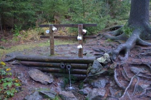 Hrneček u studánky neznamená automaticky pitnou vodu. Tři zdroje u Žďáru nevyhověly rozborům