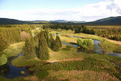 Národní park Šumava přijde o 70 milionů, správa plánuje úspory a uzavření infocenter