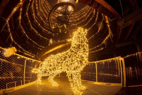 Stezka korunami stromů v Janských Lázních zve na noční prohlídky